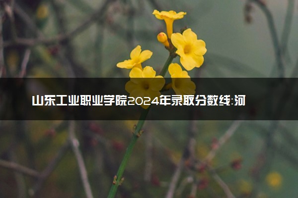 山东工业职业学院2024年录取分数线：河北425分领跑，甘肃179分垫底 2025报考建议及事项