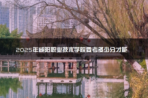 2025年咸阳职业技术学院要考多少分才能上？历年录取分数线及报考指南（含预测）