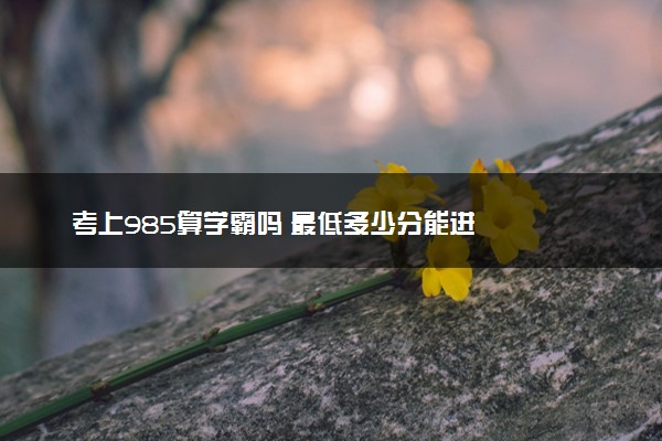 考上985算学霸吗 最低多少分能进