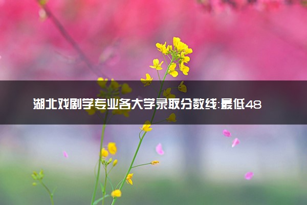 湖北戏剧学专业各大学录取分数线：最低483分能上 开设院校及位次