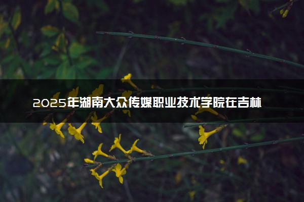 2025年湖南大众传媒职业技术学院在吉林招生代码：4350 专业代码及报考指南