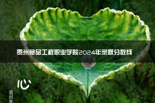 贵州食品工程职业学院2024年录取分数线：贵州402分领跑，贵州206分垫底 2025报考建议及事项