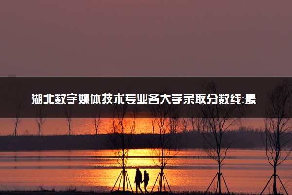 湖北数字媒体技术专业各大学录取分数线：最低200分能上 开设院校及位次
