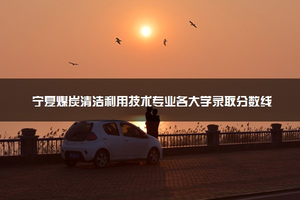 宁夏煤炭清洁利用技术专业各大学录取分数线：最低346分能上 开设院校及位次
