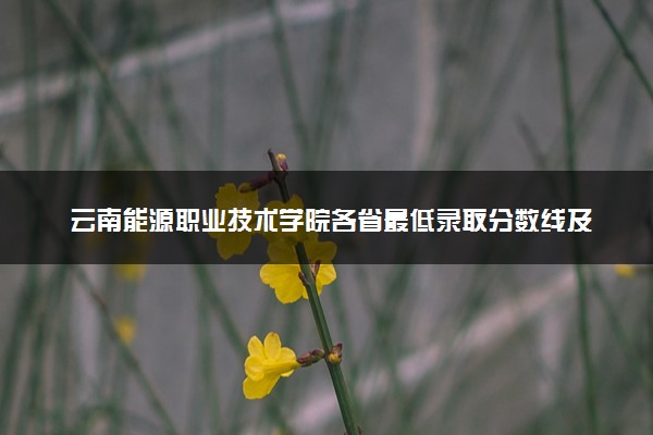 云南能源职业技术学院各省最低录取分数线及位次排名 2025考多少分能上云南能源职业技术学院