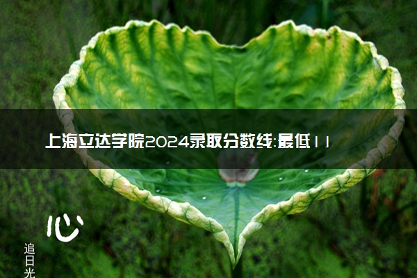 上海立达学院2024录取分数线：最低113分 附2025年报考建议及注意事项