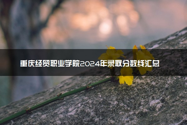 重庆经贸职业学院2024年录取分数线汇总 各省最低分与位次排名及2025报考指南
