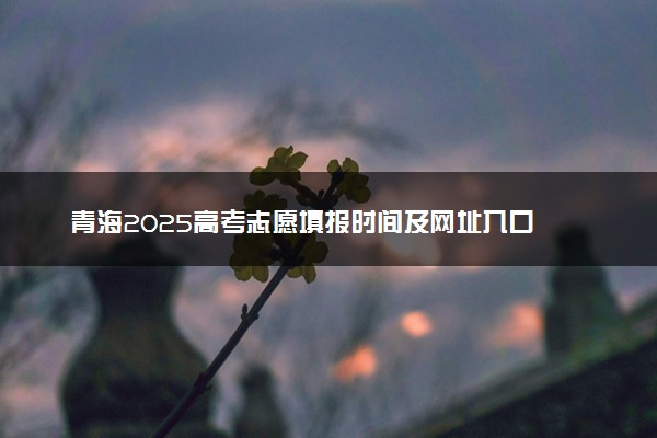 青海2025高考志愿填报时间及网址入口 含志愿设置及流程