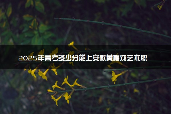 2025年高考多少分能上安徽黄梅戏艺术职业学院？预测各省份录取分数线（附2024年数据及报考指南）