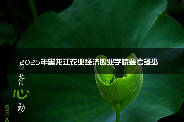2025年黑龙江农业经济职业学院要考多少分才能上？历年录取分数线及报考指南（含预测）