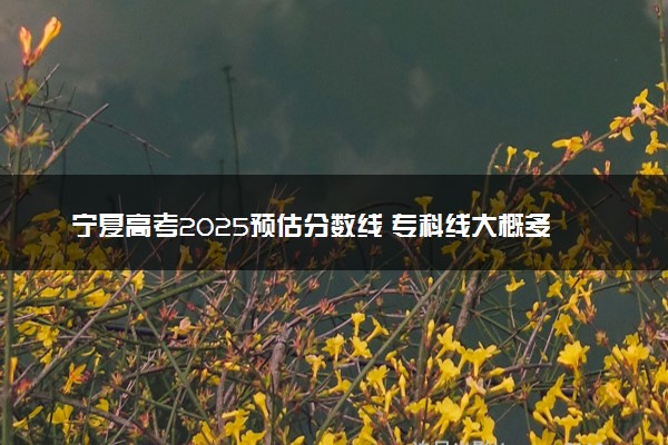 宁夏高考2025预估分数线 专科线大概多少分