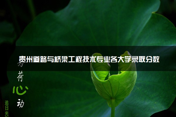 贵州道路与桥梁工程技术专业各大学录取分数线：最低216分能上 开设院校及位次