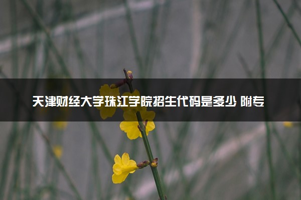 天津财经大学珠江学院招生代码是多少 附专业代码对照表（2025参考）