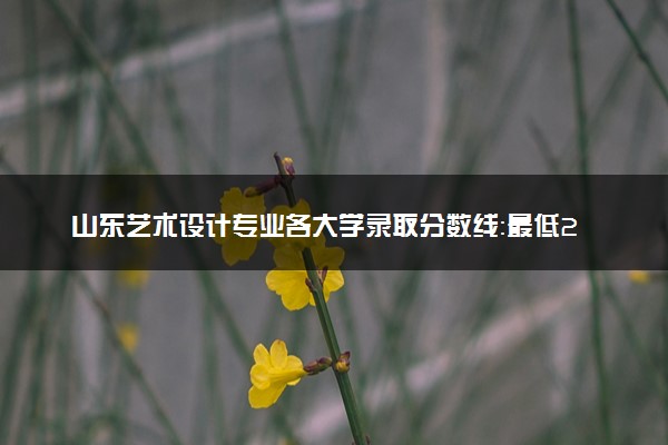 山东艺术设计专业各大学录取分数线：最低238分能上 开设院校及位次