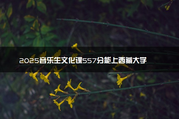 2025音乐生文化课557分能上西藏大学吗