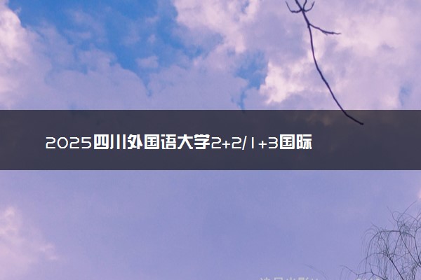 2025四川外国语大学2+2/1+3国际本科报名时间及入口