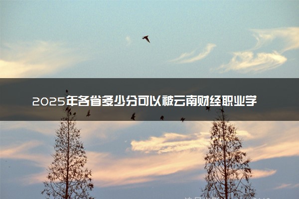2025年各省多少分可以被云南财经职业学院录取？历年录取分数线