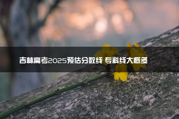 吉林高考2025预估分数线 专科线大概多少分