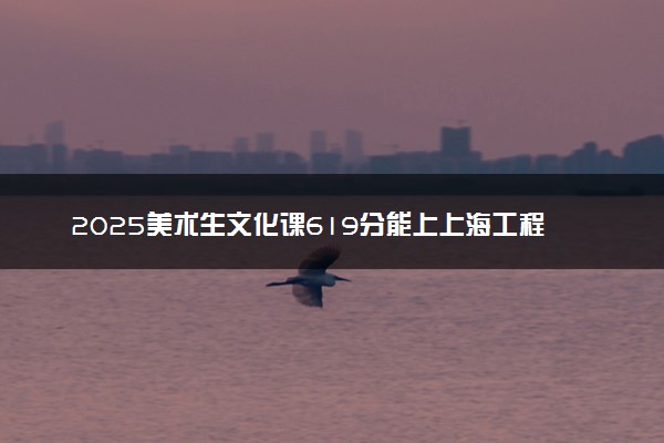 2025美术生文化课619分能上上海工程技术大学吗