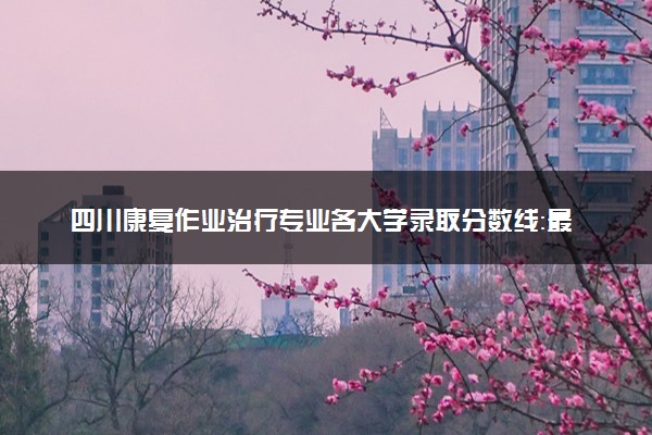 四川康复作业治疗专业各大学录取分数线：最低538分能上 开设院校及位次
