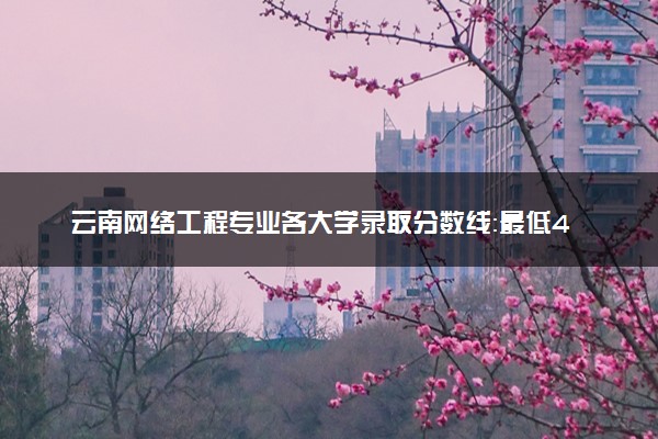 云南网络工程专业各大学录取分数线：最低403分能上 开设院校及位次