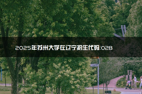 2025年苏州大学在辽宁招生代码：0285 专业代码及报考指南