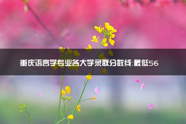 重庆语言学专业各大学录取分数线：最低560分能上 开设院校及位次