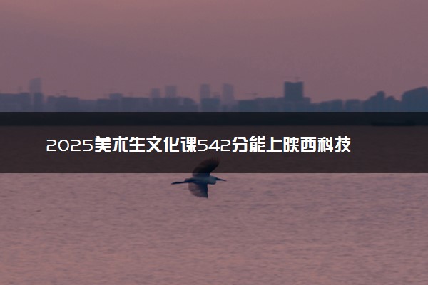 2025美术生文化课542分能上陕西科技大学吗