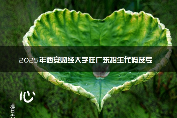 2025年西安财经大学在广东招生代码及专业代码 西安财经大学广东代码是多少？怎么查询？
