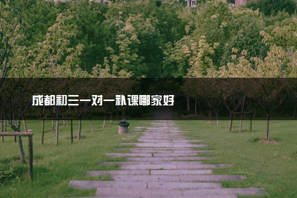成都初三一对一补课哪家好