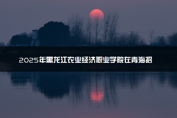 2025年黑龙江农业经济职业学院在青海招生代码：2224 专业代码及报考指南