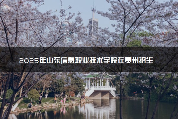 2025年山东信息职业技术学院在贵州招生代码及专业代码 山东信息职业技术学院贵州代码是多少？怎么查询？