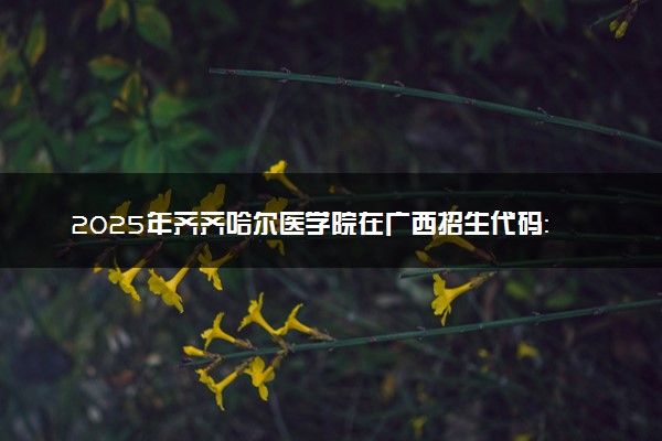 2025年齐齐哈尔医学院在广西招生代码：11230 专业代码及报考指南