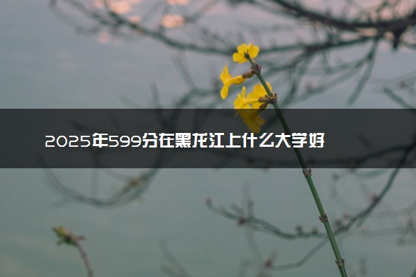 2025年599分在黑龙江上什么大学好 近三年录取分数线是多少