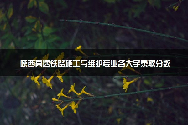 陕西高速铁路施工与维护专业各大学录取分数线：最低368分能上 开设院校及位次