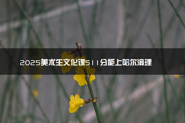 2025美术生文化课511分能上哈尔滨理工大学吗