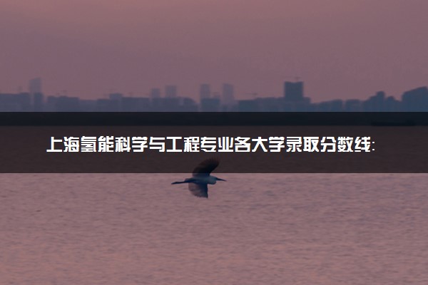 上海氢能科学与工程专业各大学录取分数线：最低556分能上 开设院校及位次