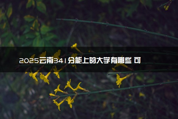 2025云南341分能上的大学有哪些 可以报考院校名单