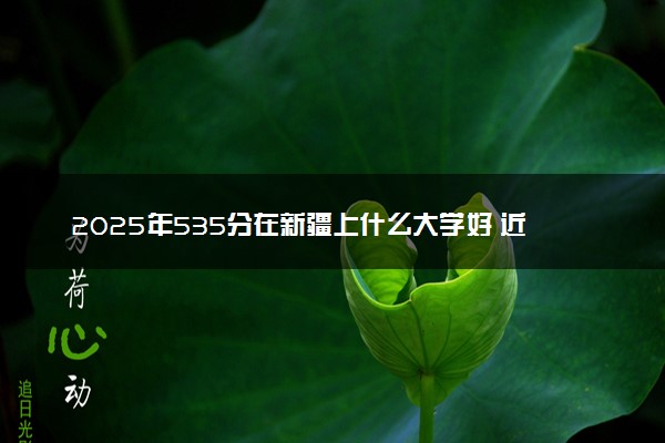 2025年535分在新疆上什么大学好 近三年录取分数线是多少