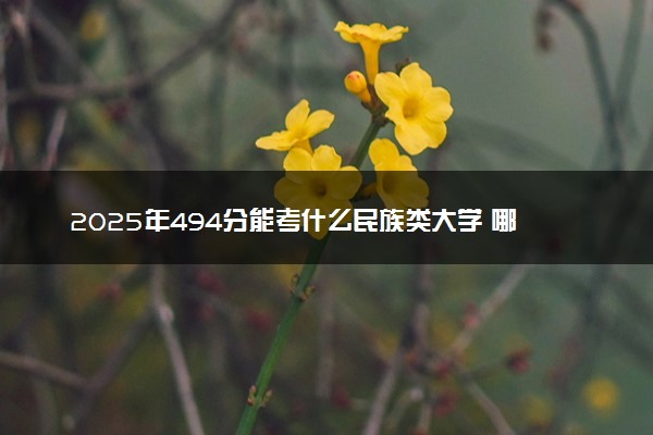 2025年494分能考什么民族类大学 哪些大学值得报