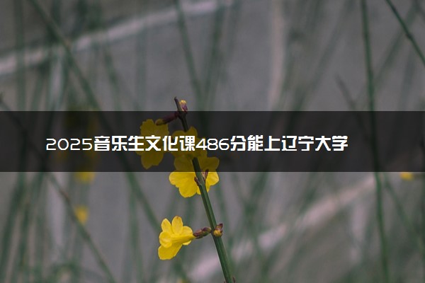 2025音乐生文化课486分能上辽宁大学吗