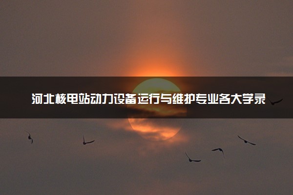 河北核电站动力设备运行与维护专业各大学录取分数线：最低387分能上 开设院校及位次