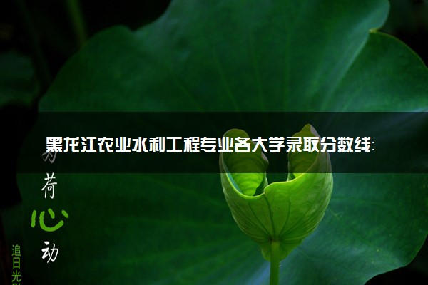 黑龙江农业水利工程专业各大学录取分数线：最低406分能上 开设院校及位次