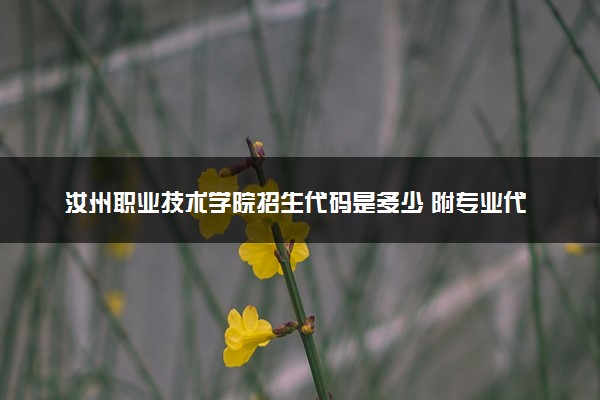 汝州职业技术学院招生代码是多少 附专业代码对照表（2025参考）