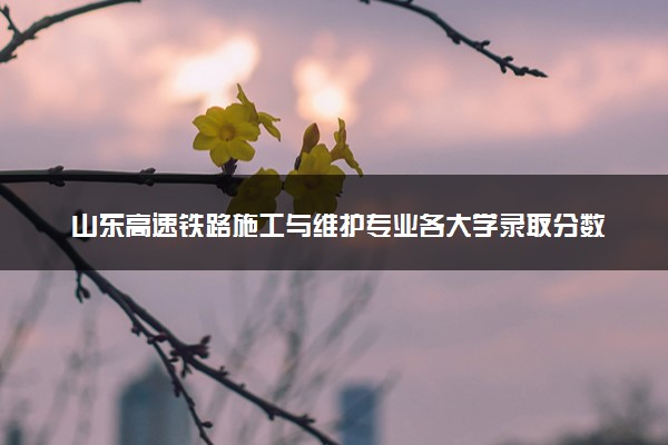 山东高速铁路施工与维护专业各大学录取分数线：最低430分能上 开设院校及位次
