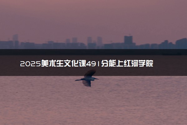 2025美术生文化课491分能上红河学院吗