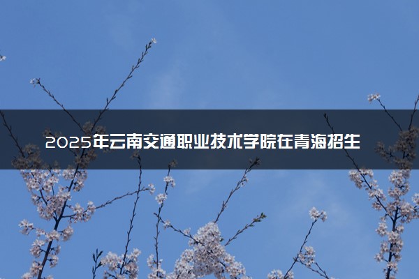 2025年云南交通职业技术学院在青海招生代码：5253 专业代码及报考指南