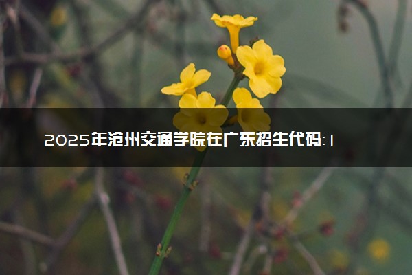 2025年沧州交通学院在广东招生代码：14202 专业代码及报考指南