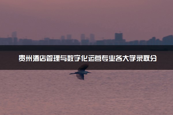 贵州酒店管理与数字化运营专业各大学录取分数线：最低184分能上 开设院校及位次