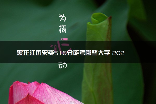 黑龙江历史类516分能考哪些大学 2025考生稳上的大学名单